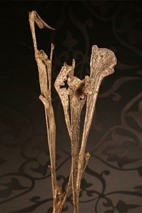 Roślina do kompozycji Natraj duży złoty  40-50 cm